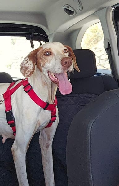 Jara braucht viel Liebe