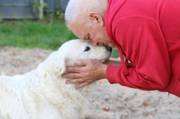 Bianca, Pflegestelle in Hessen