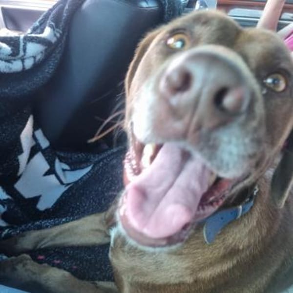 SCHOKO - liebe Seele