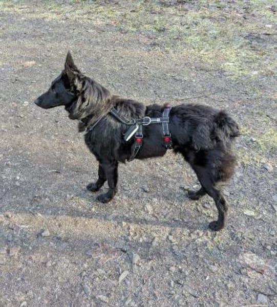 Schönheit Emma in 45138 Essen