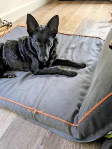 Schönheit Emma in 45138 Essen