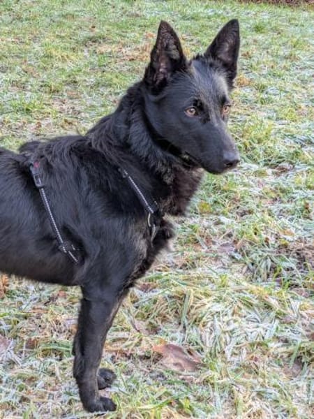 Schönheit Emma in 45138 Essen