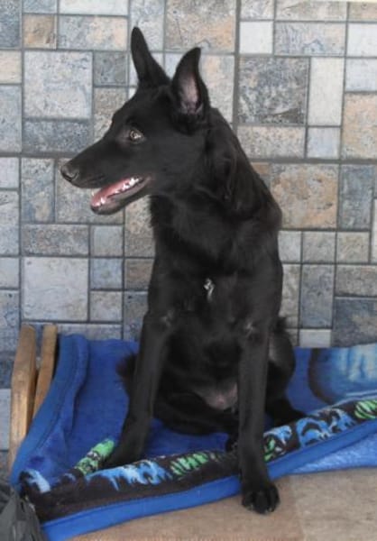 Schönheit Emma in 45138 Essen