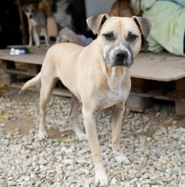 CRUMBLE - sanft und mutig