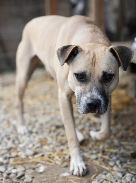 CRUMBLE - sanft und mutig