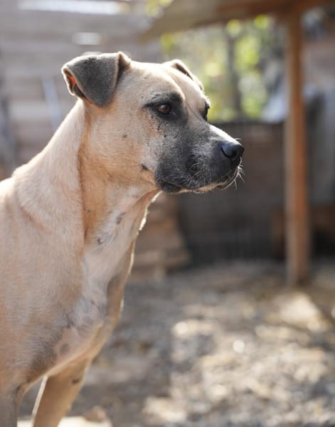 CRUMBLE - sanft und mutig