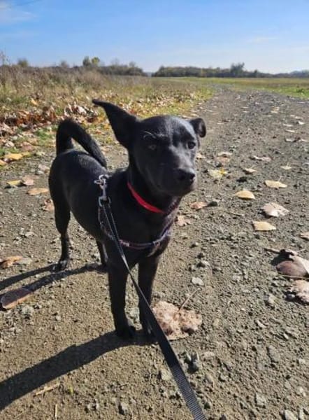 Snjeska - fröhlich & lebhaft