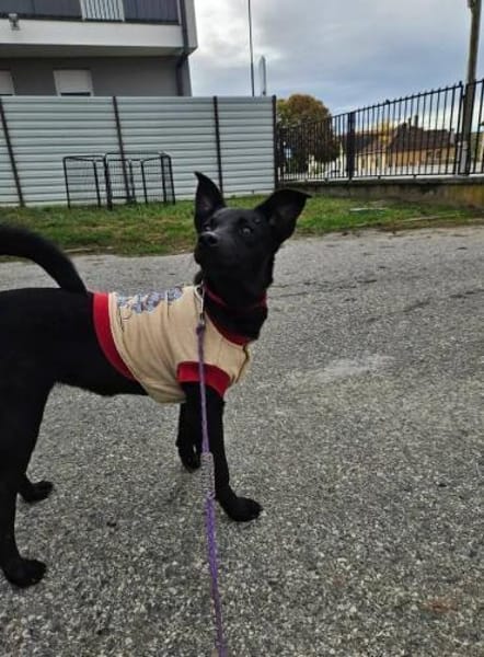 Snjeska - fröhlich & lebhaft