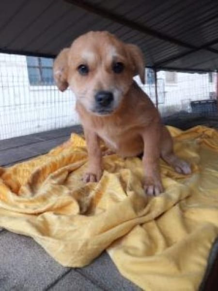 Hanna 32 cm (Jan 26) Pflegestelle