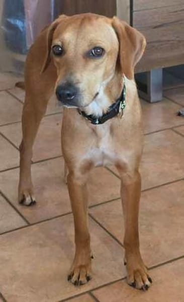 Fabio 2 -auf der Straße geboren-