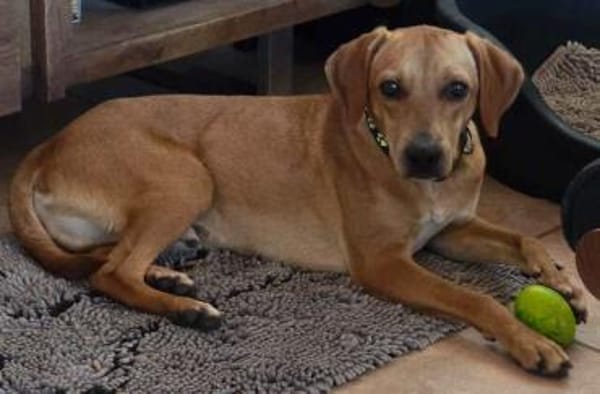 Fabio 2 -auf der Straße geboren-