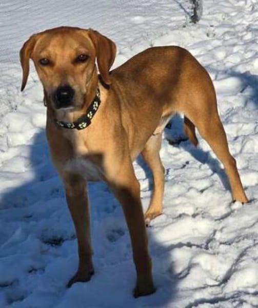 Fabio 2 -auf der Straße geboren-