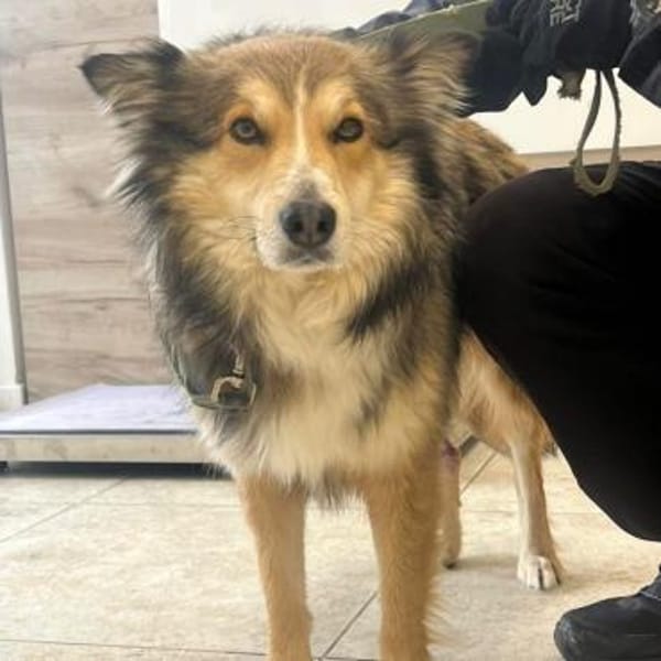 Hera❤aufgeschlossen,sozial, intelligent