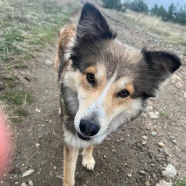 Hera❤aufgeschlossen,sozial, intelligent