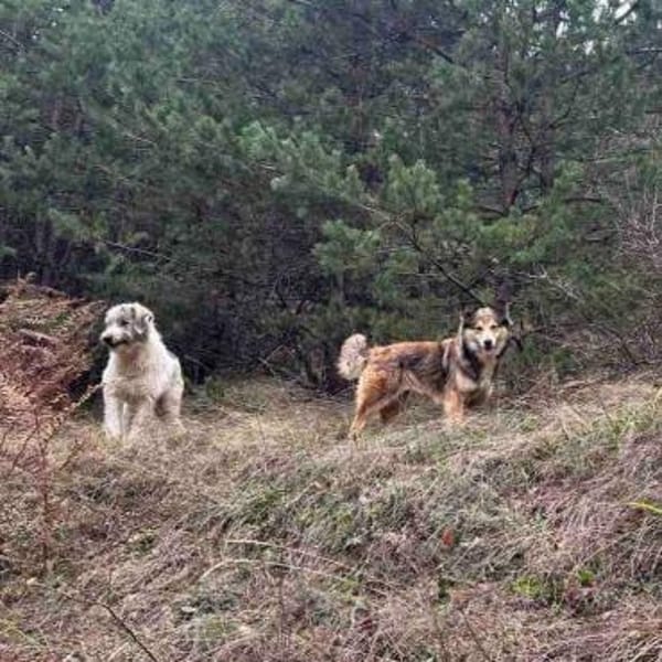 Hera❤aufgeschlossen,sozial, intelligent