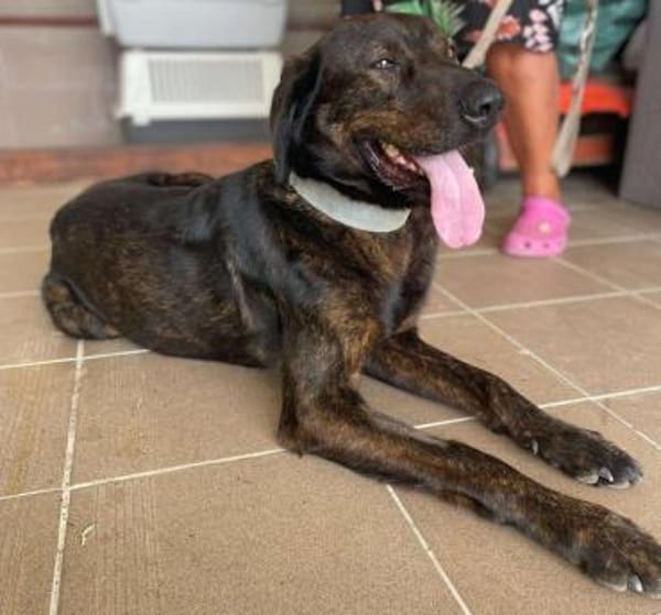 Matty sucht seine Familie