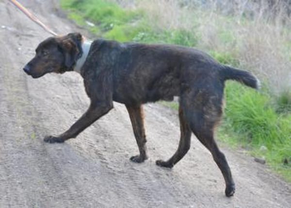 Matty sucht seine Familie