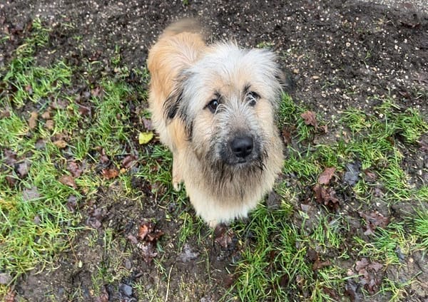 Céleste (réservée)