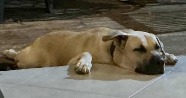 Rio, je rêve de mon futur foyer