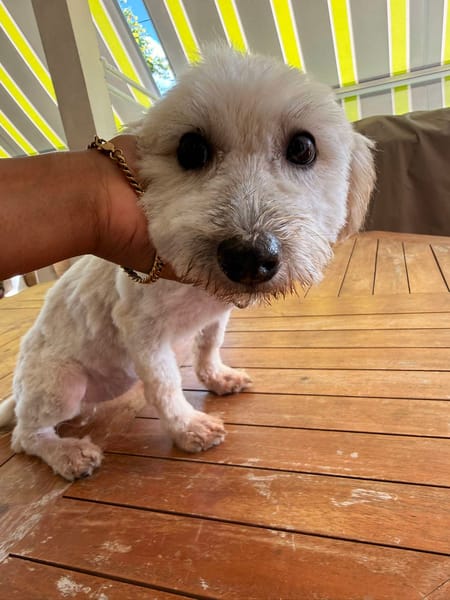 Saga, je suis joueuse