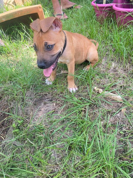 NUSTY le bout de chou