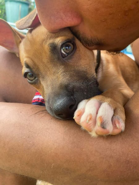 NUSTY le bout de chou