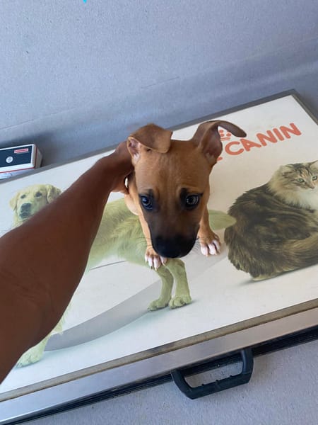 NUSTY le bout de chou