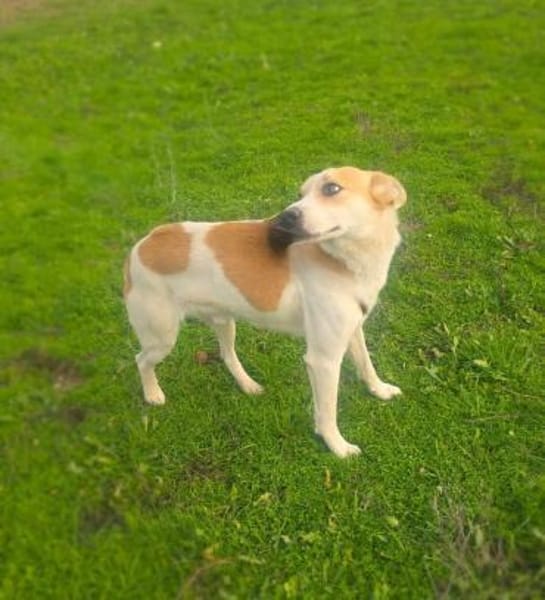 Marco einfach nur lieb