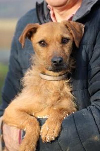 Turia - aufgeweckt u. unkompliziert