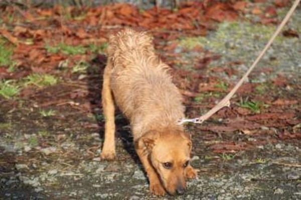 Turia - aufgeweckt u. unkompliziert