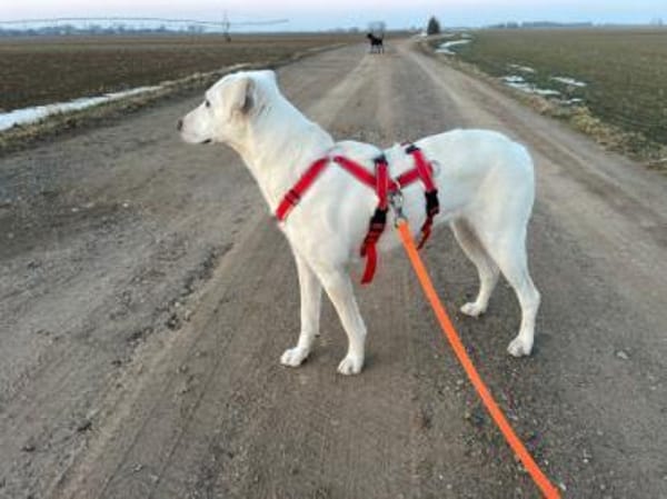 Ophra möchte endlich ankommen