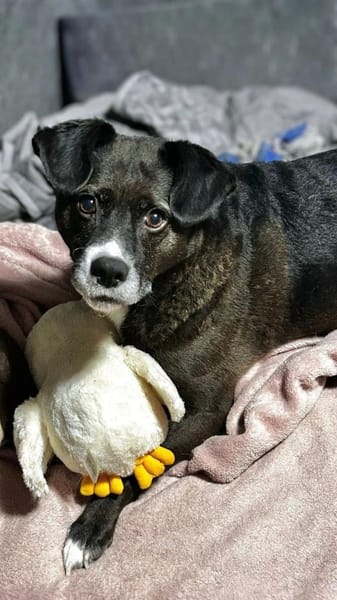 Cooler Partner in Crime- Cosmo