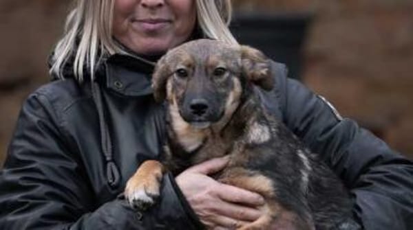 PRETTY * süße wilde Hummel