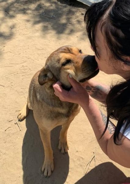 Terry:Jetzt werde ich auch Familienhund