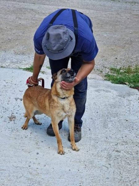 Mali RUBY sucht Profis ♥NOTFALL‼🆘‼