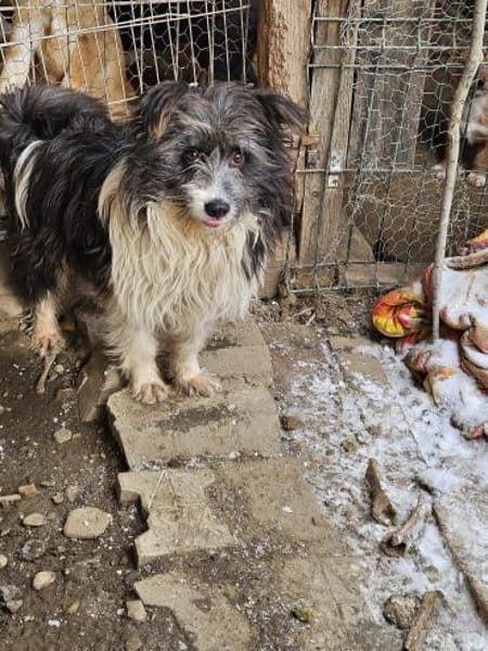 Lustiger Spencer sucht Dich