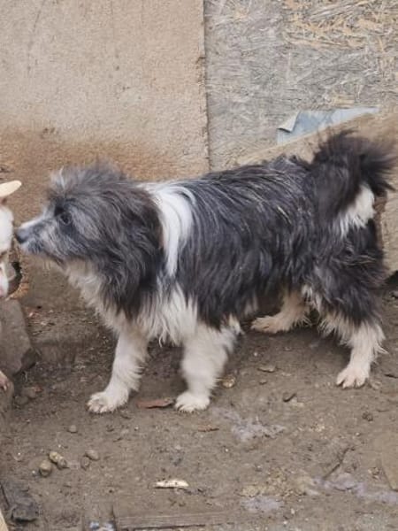 Lustiger Spencer sucht Dich