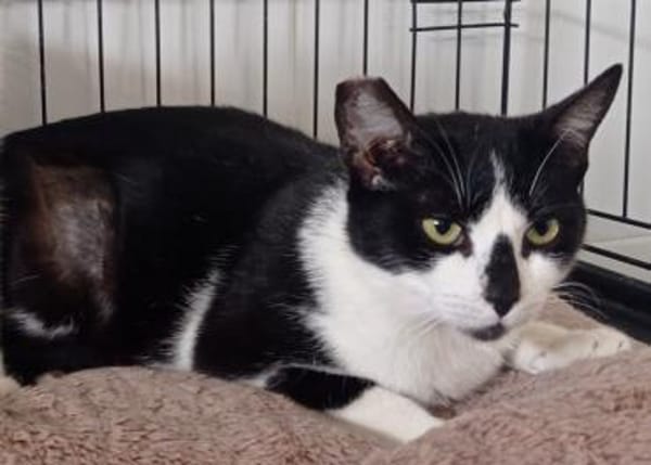 Mama Wilma und Sohn Edgar