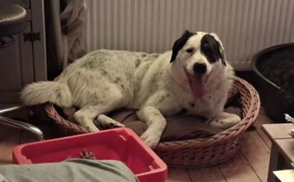 Schreibst du mit an Fleckis Happy End?