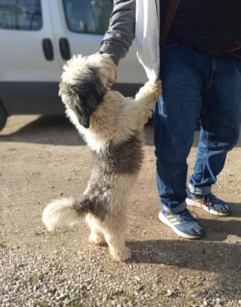 Muffin 🥰 lustig und freundlich