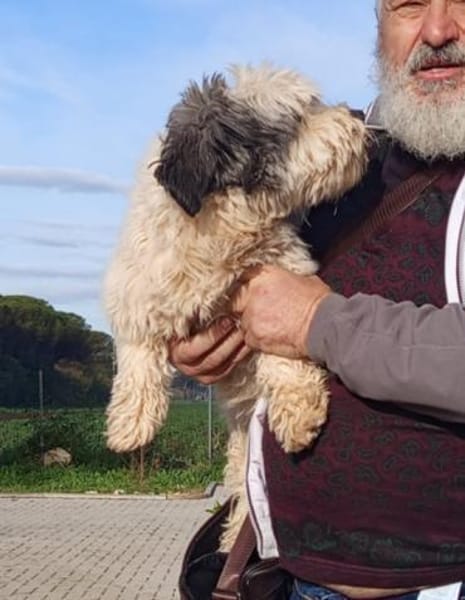 Muffin 🥰 lustig und freundlich