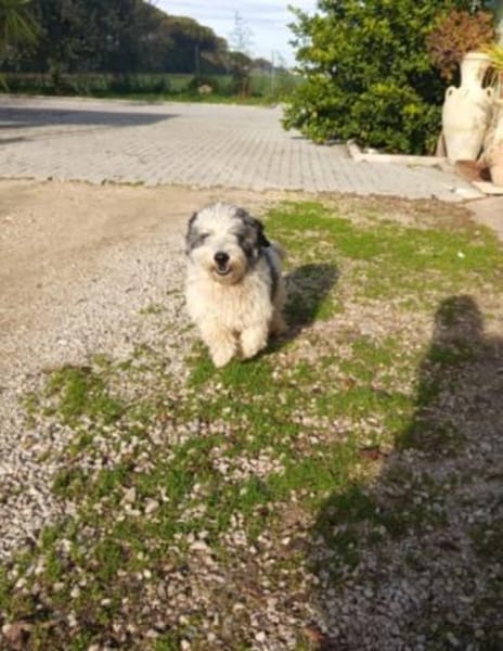 Muffin 🥰 lustig und freundlich