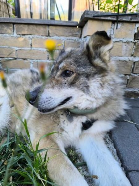 HOBBIT möchte mit dir auf Tour gehen!