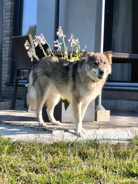 HOBBIT möchte mit dir auf Tour gehen!