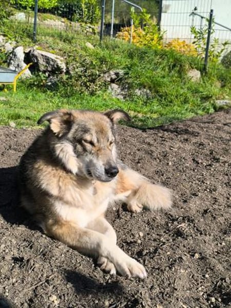 HOBBIT möchte mit dir auf Tour gehen!