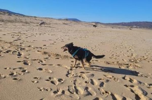 Niki - süße, lebensfrohe Rollifahrerin