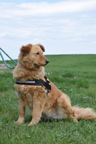 Lena, rauhe Schale- weicher Kern