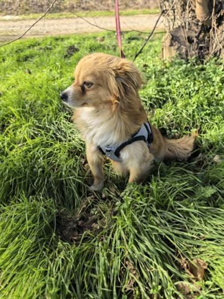 Jerry sucht ein Körbchen