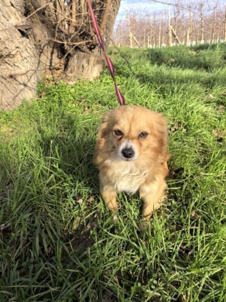 Jerry sucht ein Körbchen