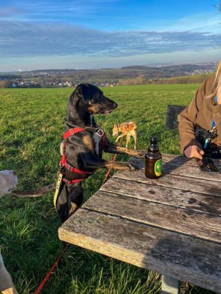 Aktive Pina wartet in 52385 Nideggen